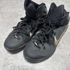 NIKE HYPERDUNK 2014 EP ハイパーダンク ナイキ 27cm