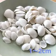貝殻　二枚貝　100個セット 約1〜2cm 自然素材　ホワイト　ビーチコーミング