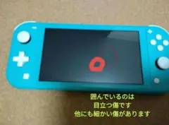 Nintendo Switch Lite 本体　バイオハザード　ソフト　セット