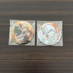 ホークス まとめ売り ホークス 鷹見啓悟 缶バッチ 僕のヒーロー