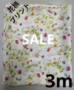 大根母ちゃん様 リクエスト 2点 まとめ商品