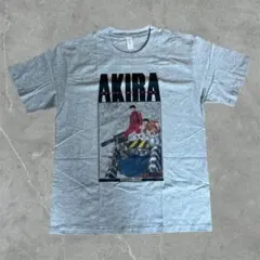 Item thumbnail for item 830f6f83-7aa1-44c4-9819-7a7b8110d4fa