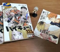 ハイキュー!! 33.5 特別版 ポストカードつき 菅原孝支つき