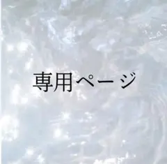 らん　⭐︎プロフ必読⭐︎様専用ページ
