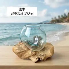 流木 ガラスオブジェ 花瓶 金魚鉢 テラリウム メダカ水槽 一点物