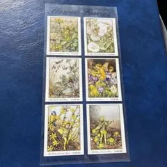 シシリー.メアリー.バーカーによる 「フラワーフェアリーズ」のカードセット