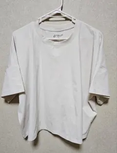 CLOSSHI クロッシー 半袖Tシャツ ベージュ無地 シンプル カジュアルLLのサムネイル