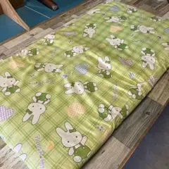 Item thumbnail for item 3d5ea20e-7d82-4b93-840d-02b674d4c97e