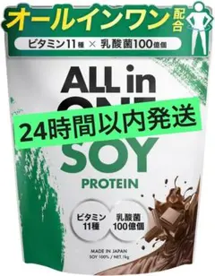 アンビーク AMBiQUE ソイプロテイン 1kg チョコレート ビタミン