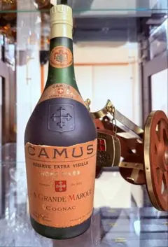 2026年最新】カミュ エクストラの人気アイテム - メルカリ