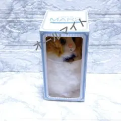 2026年最新】藤原樹 マース メンプロの人気アイテム - メルカリ