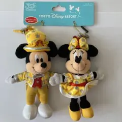 ディズニーランド　30周年　ストラップ