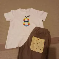 上下セットグリーンレーベル Tシャツ ショートパンツ