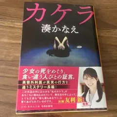 カケラ