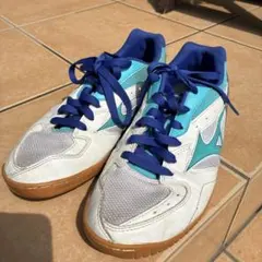 Mizuno 卓球シューズ 青白