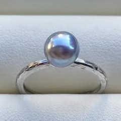 ハッシー様　ご確認専用ページ251128