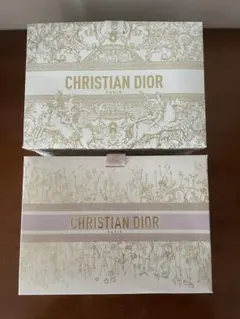 Christian Dior ギフト袋