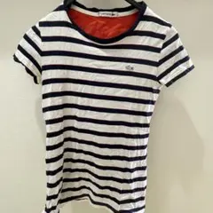 LACOSTE サンプル品ストライプ 半袖Tシャツのサムネイル