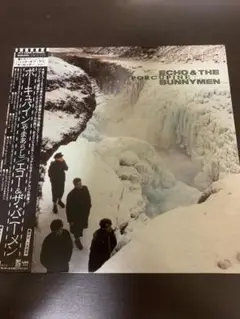 【LPレコード】エコー＆ザ・バニーメン／ポーキュパイン（P11288）