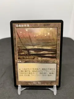 [JP] [旧枠] 湿地の干潟 / Marsh Flats