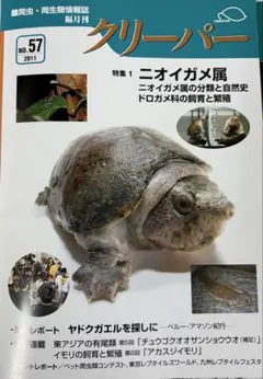 クリーパー No.57 爬虫類専門誌 ニオイガメ属特集
