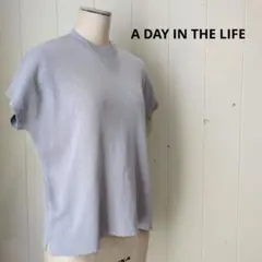 A DAY IN THE LIFE サマーニット フレンチスリーブ グレー