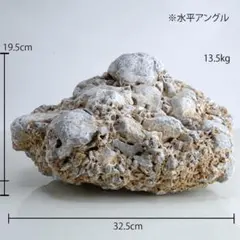 さざれ石 10kg超 苔テラリウム 鑑賞石 庭石 一点物 約37cm (201 - メルカリ