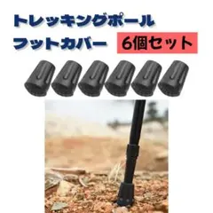 Item thumbnail for item 1e8fa9b1-3496-4788-9756-4e8fb17f393b