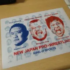 Item thumbnail for item f8501527-e6a8-4238-9909-7c7518558140