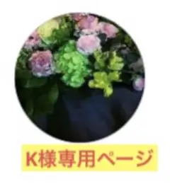 K様　専用ページ　　1袋