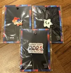 EXPO FIRE 2025大阪万博 ピンバッジセット - メルカリ