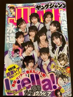 2026年最新】ヤングジャンプ liellaの人気アイテム - メルカリ