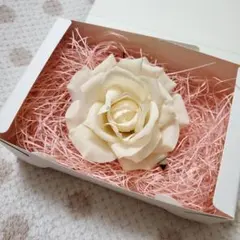 Item thumbnail for item f1a2cf17-6fb5-4521-9b19-a9e0960497b9