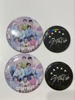 StrayKids 스키즈 5STAR 압글레 상품 캔 배지