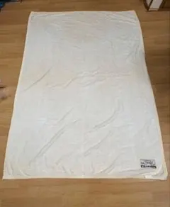 Item thumbnail for item e68627f1-c8a4-4260-ba5e-dbb21692e022