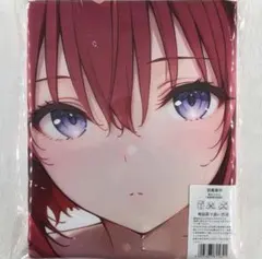 P*e様 アニメ キャラクター タオル バスタオル　萌えタオル ブランケット ナミ アニメ アニメキャラ 萌タオル バスタオル タペストリー