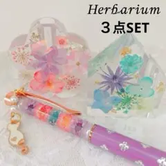 固まるハーバリウム　置き物２点とボールペンの３点SET