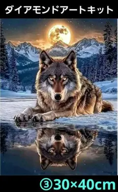 ③30×40cmリアルな月と狼ダイヤモンドアート　キット