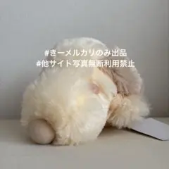 スヌーピー PV ボア 25cm 寝そべり　ぬいぐるみ　 ベージュ