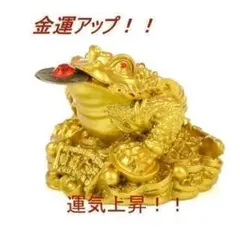 三脚蟾蜍 三本足のカエル 財運アップ 開運祈願 商売繫盛 風水 パワースポット
