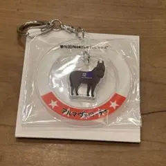 JRA ウェルカムチャンス アルマベローチェキーホルダー