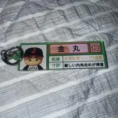 パワプロ 侍ジャパン 金丸