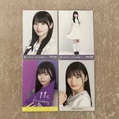 Item thumbnail for item b6499840-d1cc-4673-86d6-21f73e4f6cb1