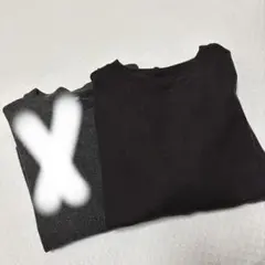 ユニクロ　ソフトフリースクルーネックTシャツ　ブラウン　L