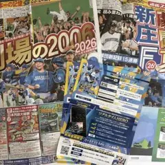 ファイターズ 6/23配布　ファイターズトレカ　トレカ&クイズチラシ　新聞のサムネイル