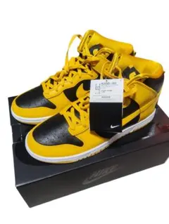 NIKE DUNK HI RETRO PRM