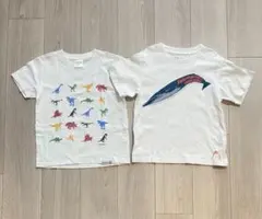 くま様 リクエスト 2点 まとめ商品
