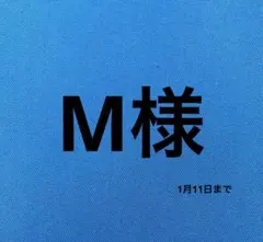 M様専用 Japanビンテージボタン