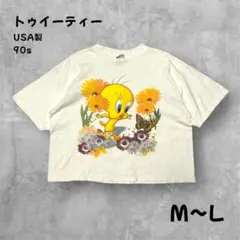 USA製ルーニーテューンズ トゥイーティーTシャツ90s花柄キャラTアニメT短丈