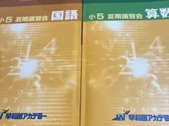 2026年最新】早稲アカ 夏期講習 小5の人気アイテム - メルカリ